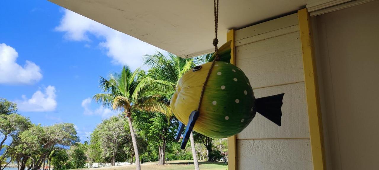 Studio Vue Mer Guadeloupe Sainte-Anne (Grande-Terre) Exterior foto